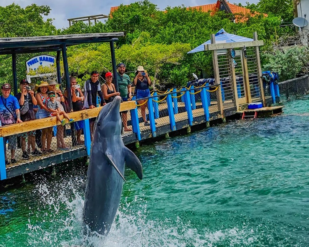 tour al Oceanario Islas del Rosario